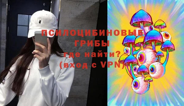 ГАЛЛЮЦИНОГЕННЫЕ ГРИБЫ Баксан